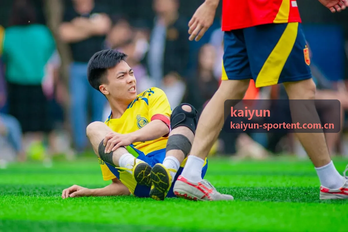 kaiyun 编辑推荐会员服务封面