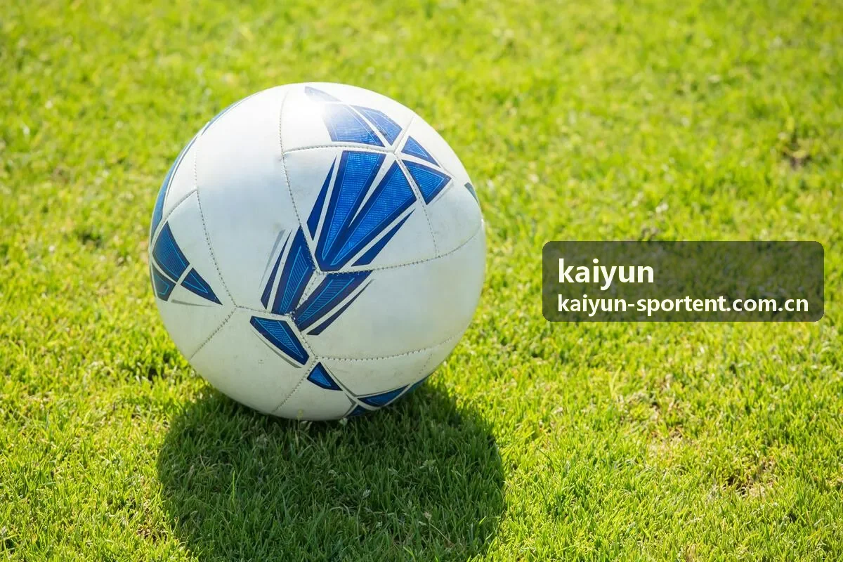 kaiyun 会员服务封面